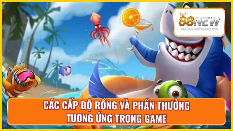 Phân chia phần thưởng của rồng từ sơ cấp đến cao cấp