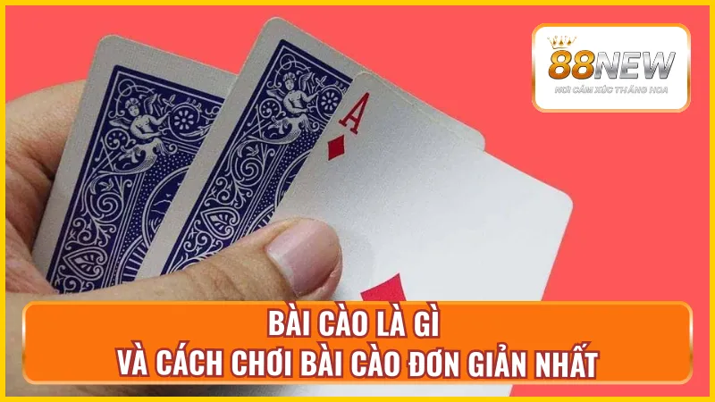 Cách chơi bài cào đơn giản nhất cho tân thủ