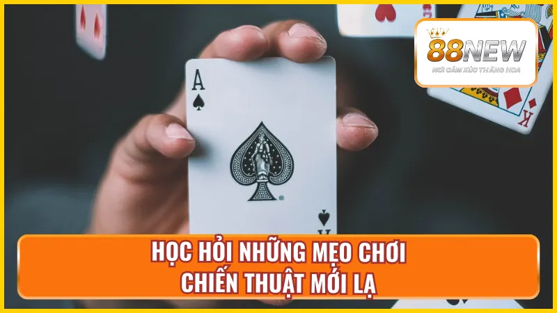 Cập nhật những mẹo mới trong cách chơi bài cào