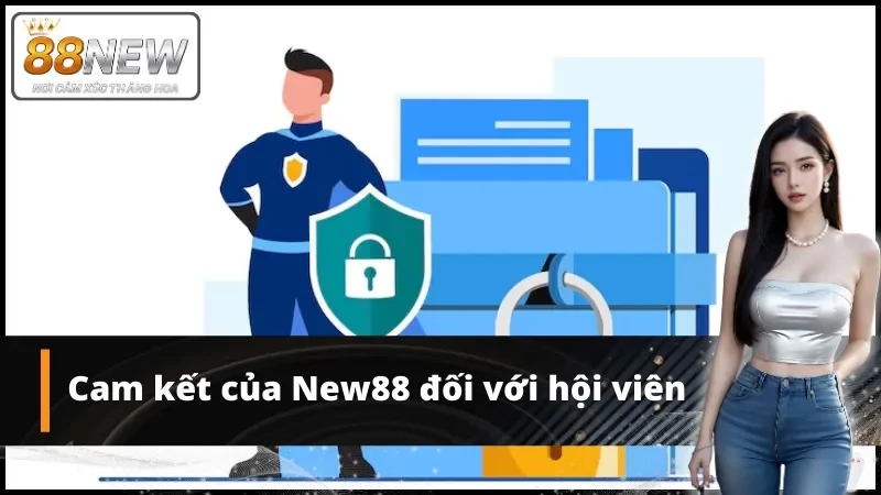 Cam kết của New88 đối với hội viên