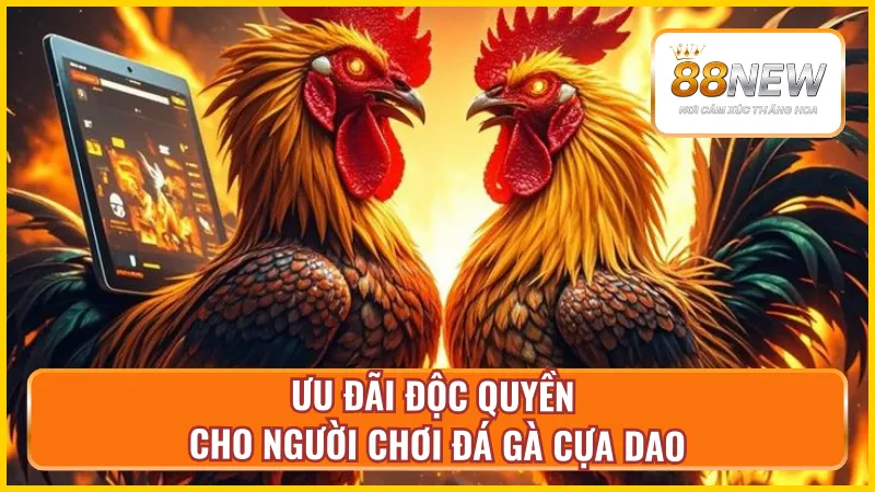 Ưu đãi hấp dẫn chào đón người đam mê đá gà cựa dao tại NEW88