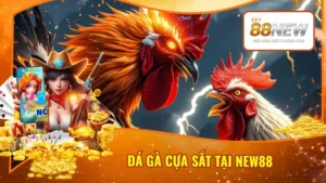 Đá Gà Cựa Sắt Tại New88