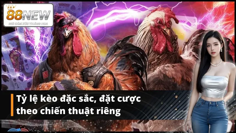 Tỷ lệ kèo đặc sắc, đặt cược theo chiến thuật riêng