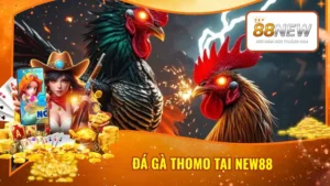 Đá Gà Thomo Tại New88