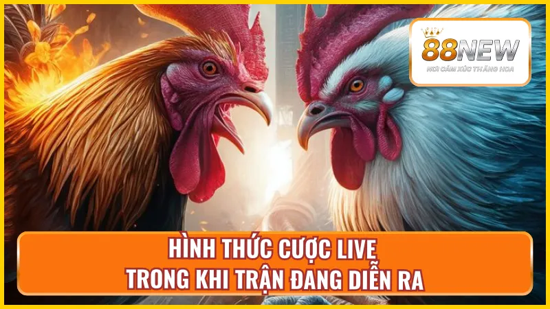 Cược theo từng diễn biến trận đấu xảy ra