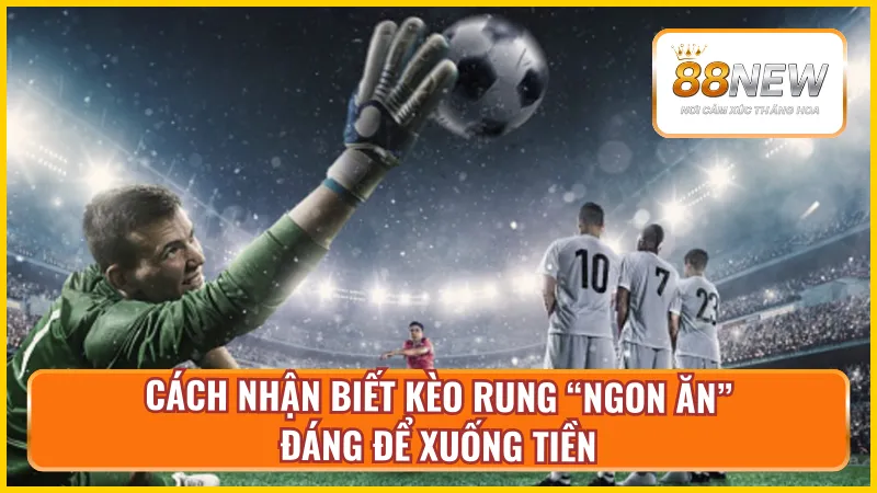 Dấu hiệu kèo rung New88 chất lượng mà dân cược không thể bỏ qua