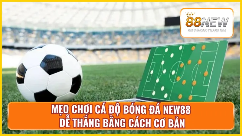Khám phá mẹo chơi cá độ bóng đá New88 dễ thắng cơ bản