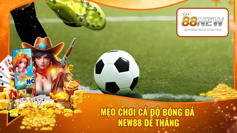Mẹo Chơi Cá Độ Bóng Đá New88 Dễ Thắng