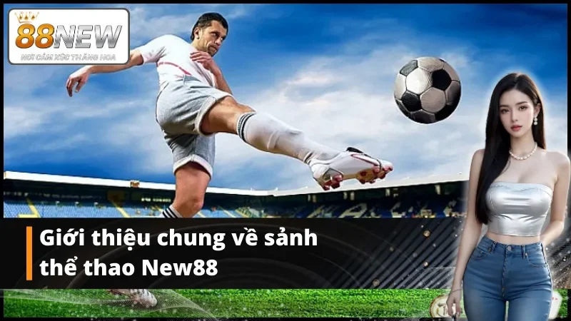 Giới thiệu chung về sảnh thể thao New88