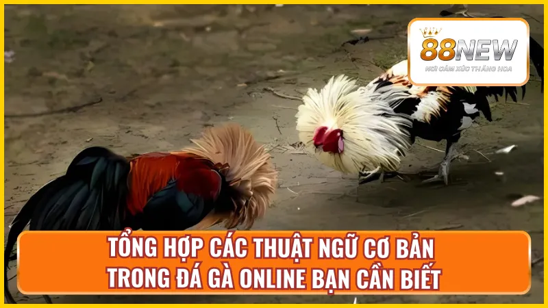 Ý nghĩa từ viết tắt thường thấy nhất hiện nay