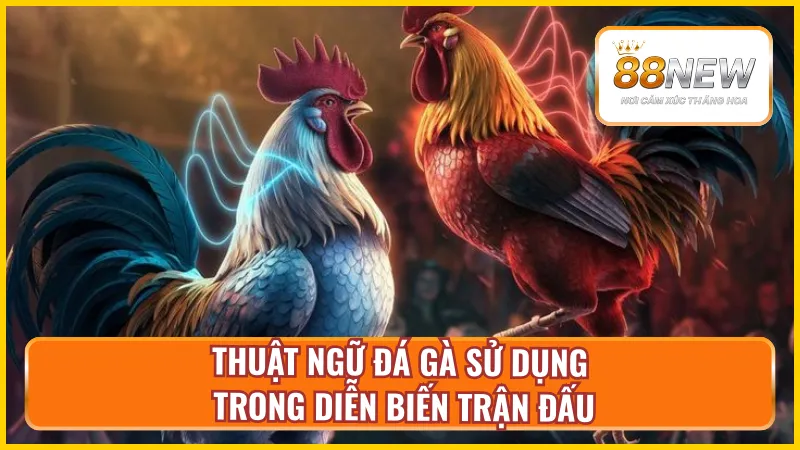 Thuật ngữ đá gà về phong cách thi đấu