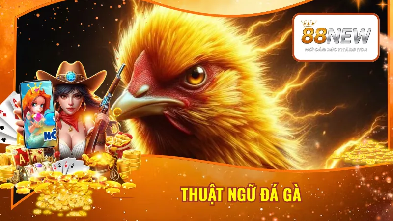 Thuật Ngữ Đá Gà