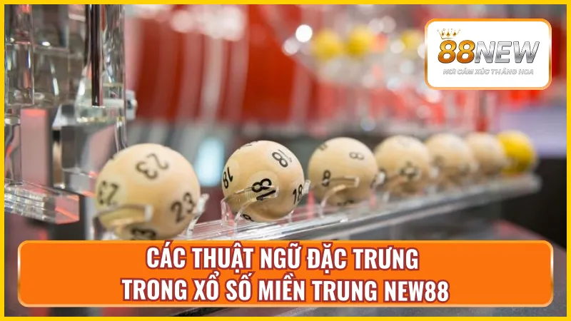 Một số thuật ngữ đặc của xổ số miền Trung tại nhà cái New88