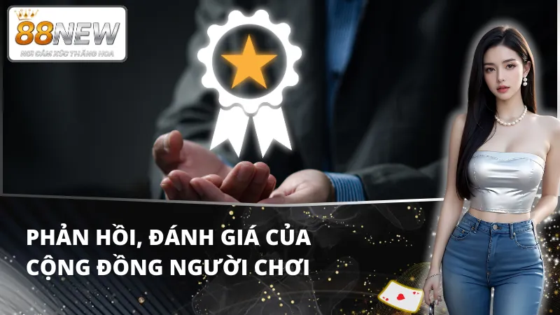 New88 nhận được nhiều đánh giá tích cực từ người chơi và chuyên gia